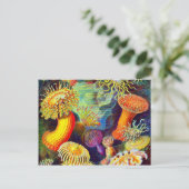 Zee Anemones van Ernst Haeckel Briefkaart (Staand voorkant)