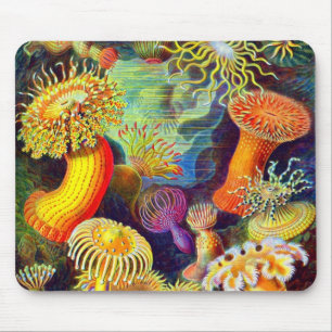 Zee Anemones van Ernst Haeckel Muismat