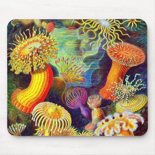 Zee Anemones van Ernst Haeckel Muismat (Voorkant)