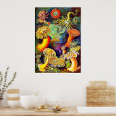 Zee Anemones van Ernst Haeckel Poster (Keuken)