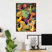Zee Anemones van Ernst Haeckel Poster (Thuiskantoor)