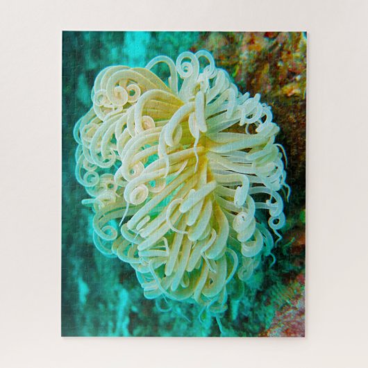 Zee Anemonies Jigzaag Puzzle Legpuzzel (Verticaal)