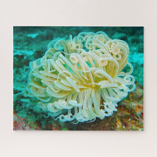 Zee Anemonies Jigzaag Puzzle Legpuzzel (Horizontaal)