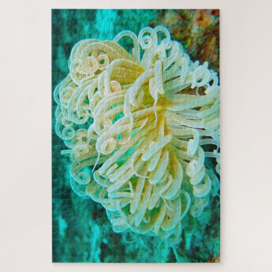 Zee Anemonies Legpuzzel (Verticaal)