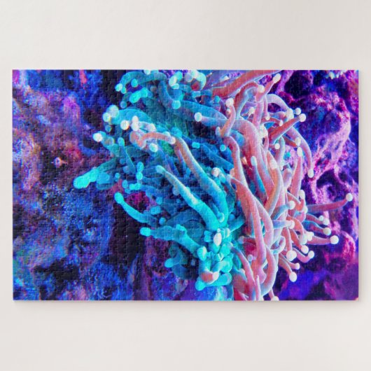 Zee Anemonies Legpuzzel (Horizontaal)