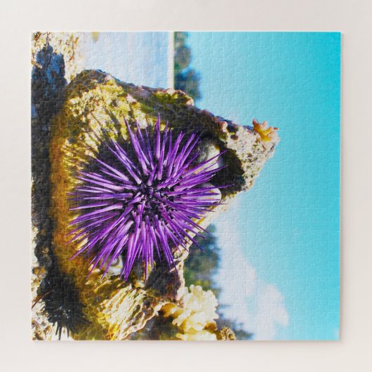 Zee Anemonies Legpuzzel (Horizontaal)