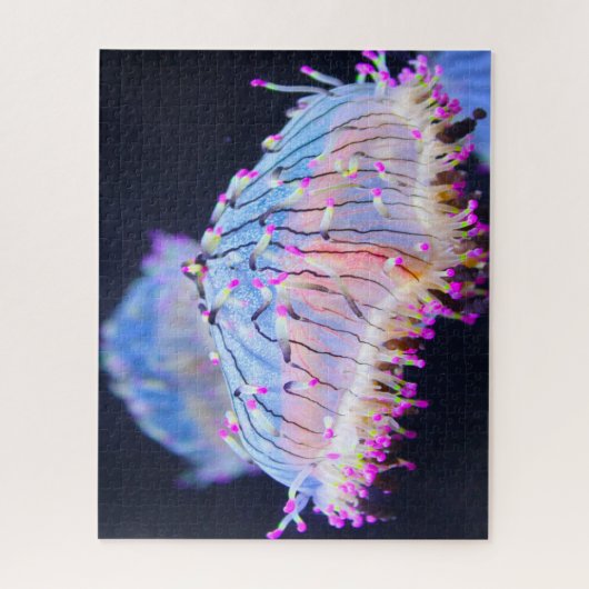 Zee Anemonies Legpuzzel (Verticaal)