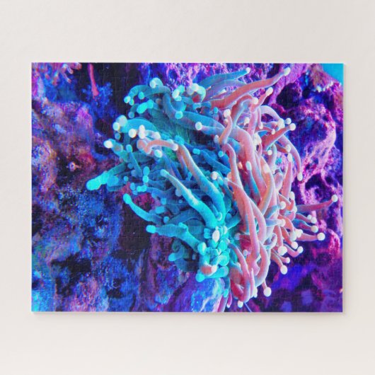 Zee Anemonies Legpuzzel (Horizontaal)