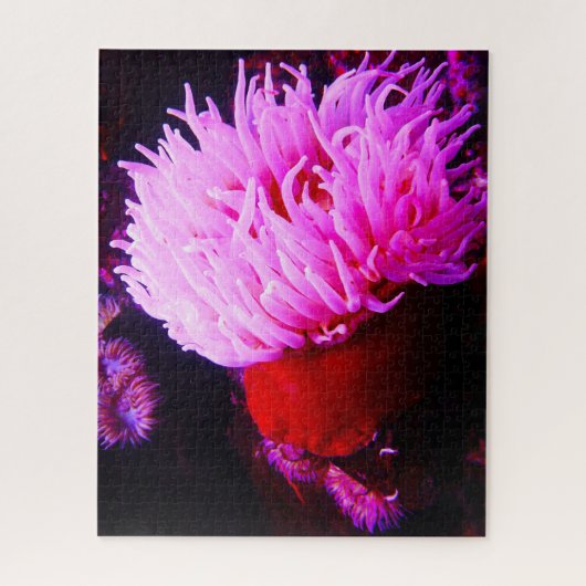 Zee Anemonies Legpuzzel (Verticaal)