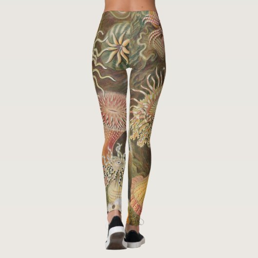 Zee Anenomes door Ernst Haeckel Leggings (Achterkant)