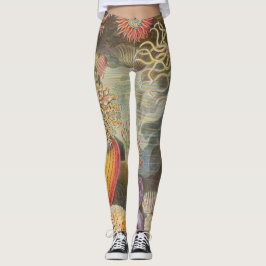 Zee Anenomes door Ernst Haeckel Leggings