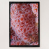 Zee Anenoom, Pastel Roze Legpuzzel (Verticaal)