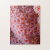 Zee Anenoom, Pastel Roze Legpuzzel (Verticaal)