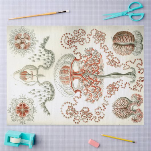 Zee Anthomedusae Ernst Haeckel Ontkoppeling Tissuepapier (Craft)