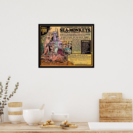 Zee apen poster (Keuken)