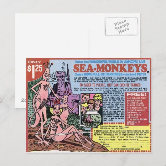 Zee apen Postkaart (Voorkant / Achterkant)