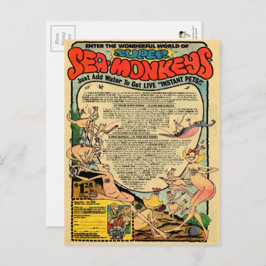  Zee apen Reclame Briefkaart (Voorkant / Achterkant)