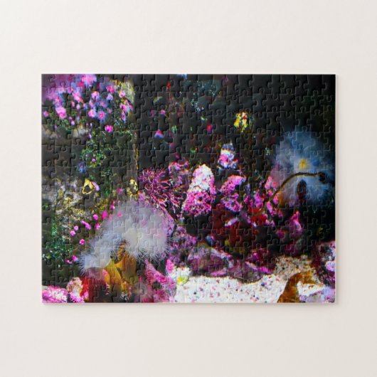 Zee Aquarium. Legpuzzel (Horizontaal)