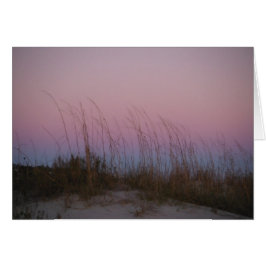 Zee Beauty op Sullivan's Island, SC