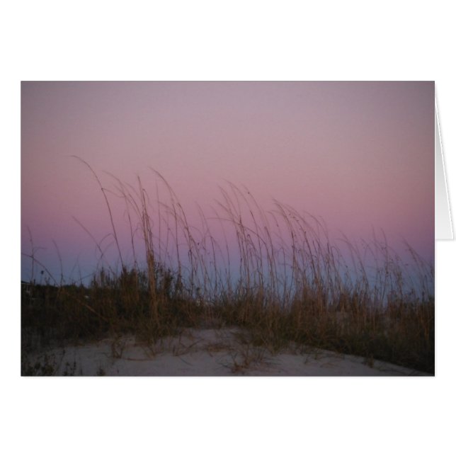Zee Beauty op Sullivan's Island, SC (Voorkant Horizontaal)