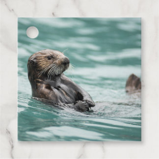 Zee bekijken otter bedankjes labels