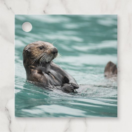 Zee bekijken otter bedankjes labels (Voorkant)