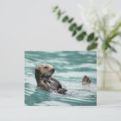 Zee bekijken otter briefkaart (Staand voorkant)