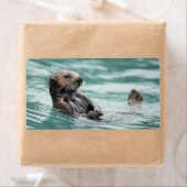 Zee bekijken otter etiket (Insitu)