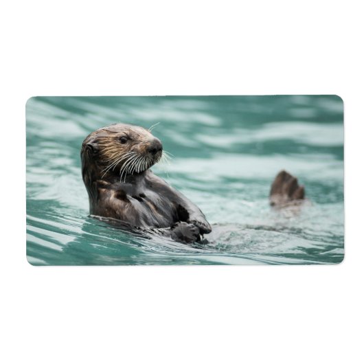 Zee bekijken otter etiket (Voorkant)