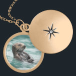 Zee bekijken otter goud vergulden ketting<br><div class="desc">Een zee otter houdt een scherp oog op gevaar in de prins William Sound van Alaska. Door Ted Raynor</div>