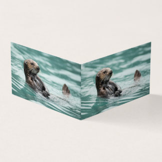 Zee bekijken otter kaart