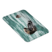 Zee bekijken otter magneet (Rechterzijde)