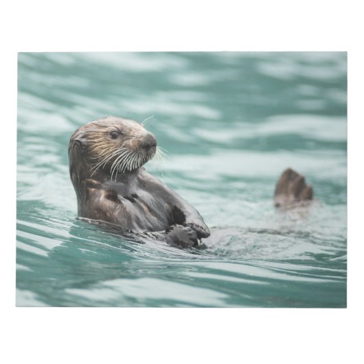 Zee bekijken otter notitieblok (Voorkant)