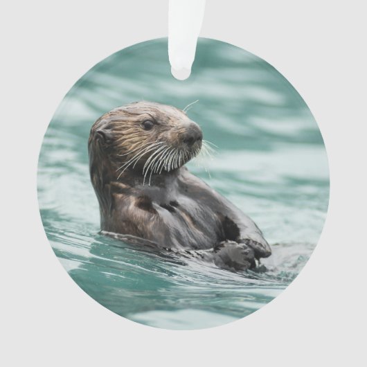 Zee bekijken otter ornament (voorkant)