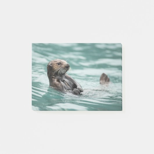 Zee bekijken otter post-it® notes (Voorkant)