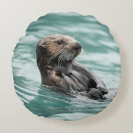Zee bekijken otter rond kussen (Voorkant)