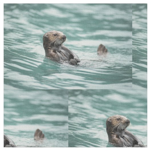 Zee bekijken otter stof (Close Up)