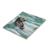 Zee bekijken otter tegeltje (Zijkant)