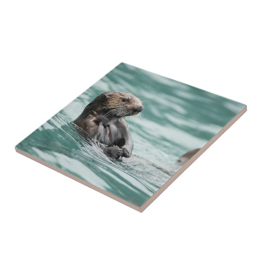 Zee bekijken otter tegeltje (Zijkant)