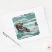 Zee bekijken otter vierkante sticker (Envelop)