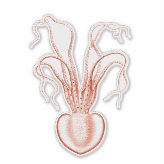  Zee Biowetenschappen Octopus Sticker (Voorkant)