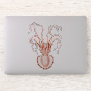  Zee Biowetenschappen Octopus Sticker