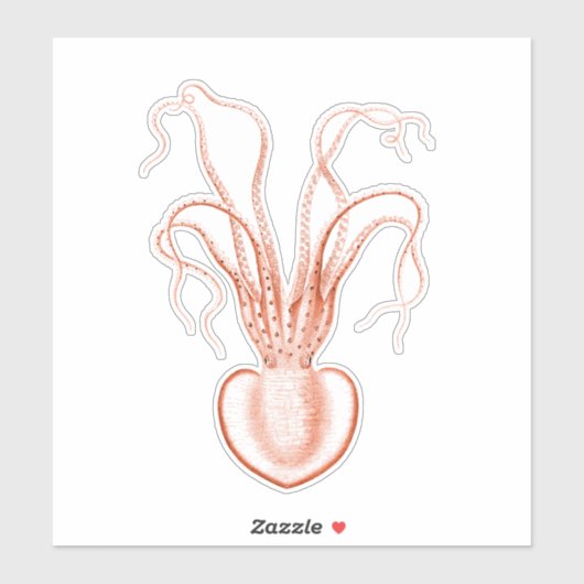  Zee Biowetenschappen Octopus Sticker (Vel)