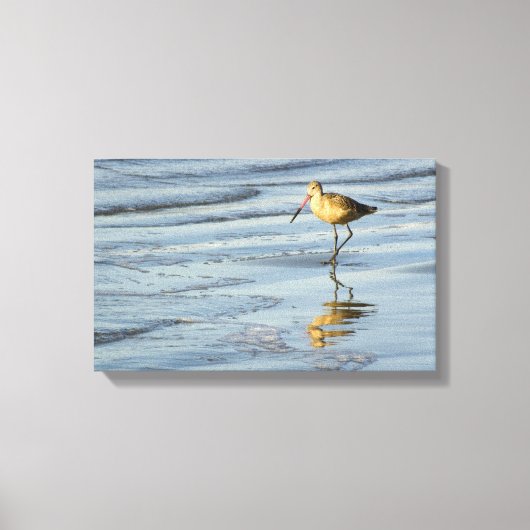 Zee Bird 3 Canvas Afdruk (Voorkant)
