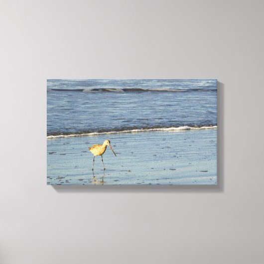 Zee Bird 4 Canvas Afdruk (Voorkant)