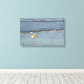 Zee Bird 4 Canvas Afdruk (Insitu (Houten vloer))