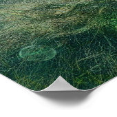 Zee Biscuit Poster (Hoek)