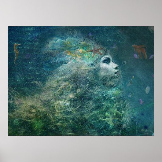 Zee Biscuit Poster (Voorkant)