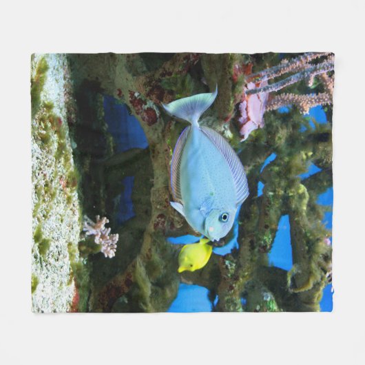 Zee Blauwe Vis Fleece Deken (Voorkant (Horizontaal))