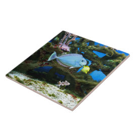 Zee Blauwe Vis Tegeltje
